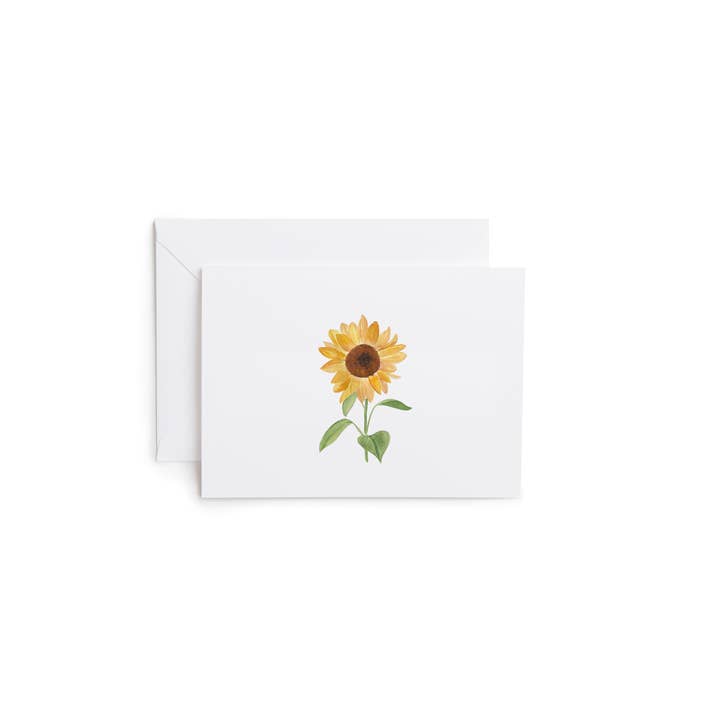 Carta Girasole per la vendita all'ingrosso da parte di Good Sheila