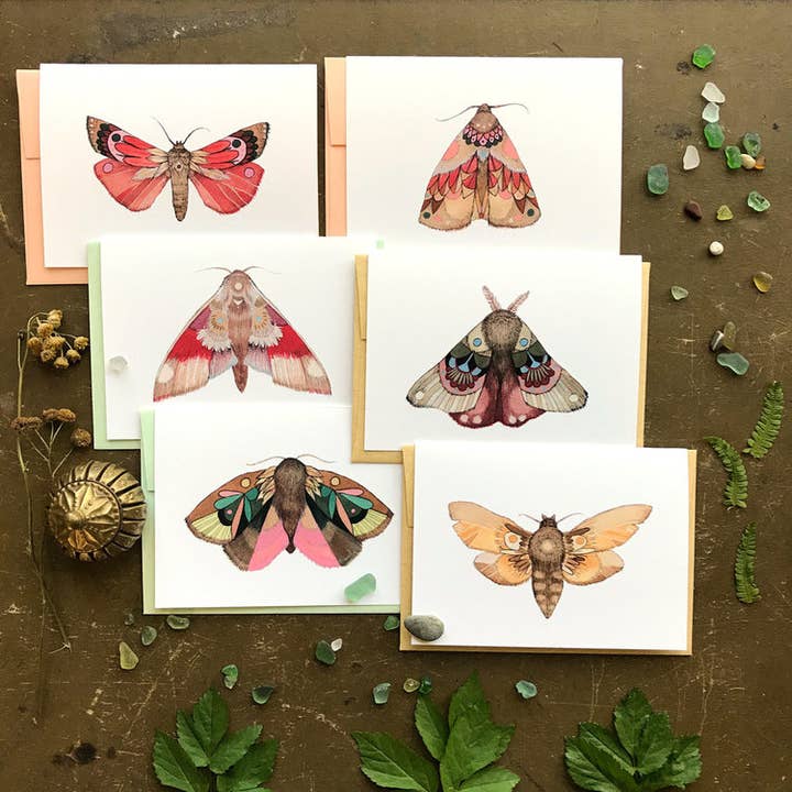 Moths Small Card Pack - Collector Set 1 for wholesale by Polanshek of the Hills
