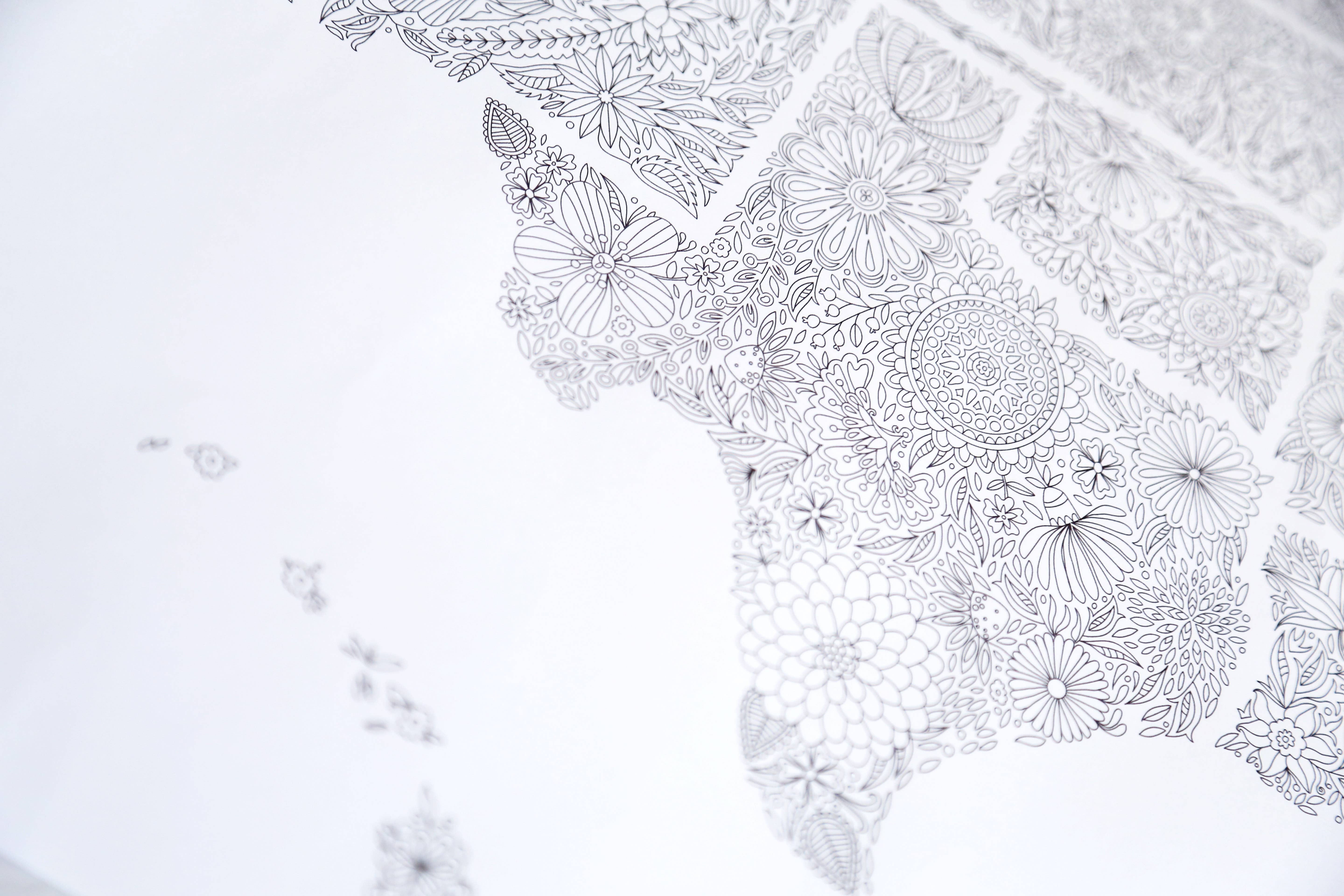 Anna Grunduls Design - Venta al por mayor Libro para colorear - Adultos - Flores Estados Unidos Mapa para colorear8