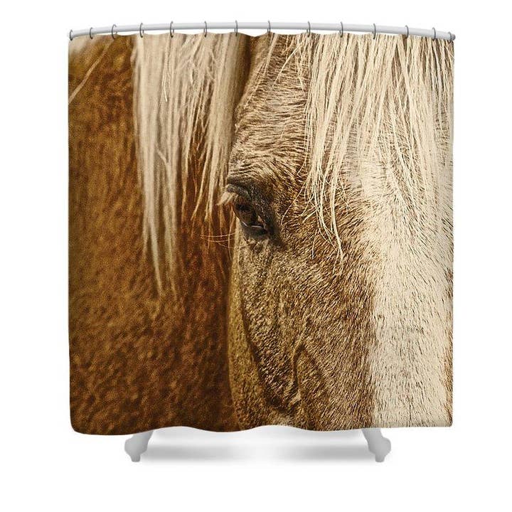 Rideau de douche Palomino Doré de Wickenburg pour la vente par Amanda Smith Western Art, LLC