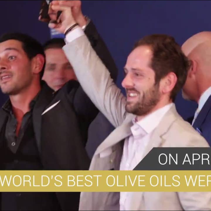 Laconiko - Wholesale Olive oil - Laconiko 500 ml Ultra Premium 100% Extra Virgin Olive Oil3