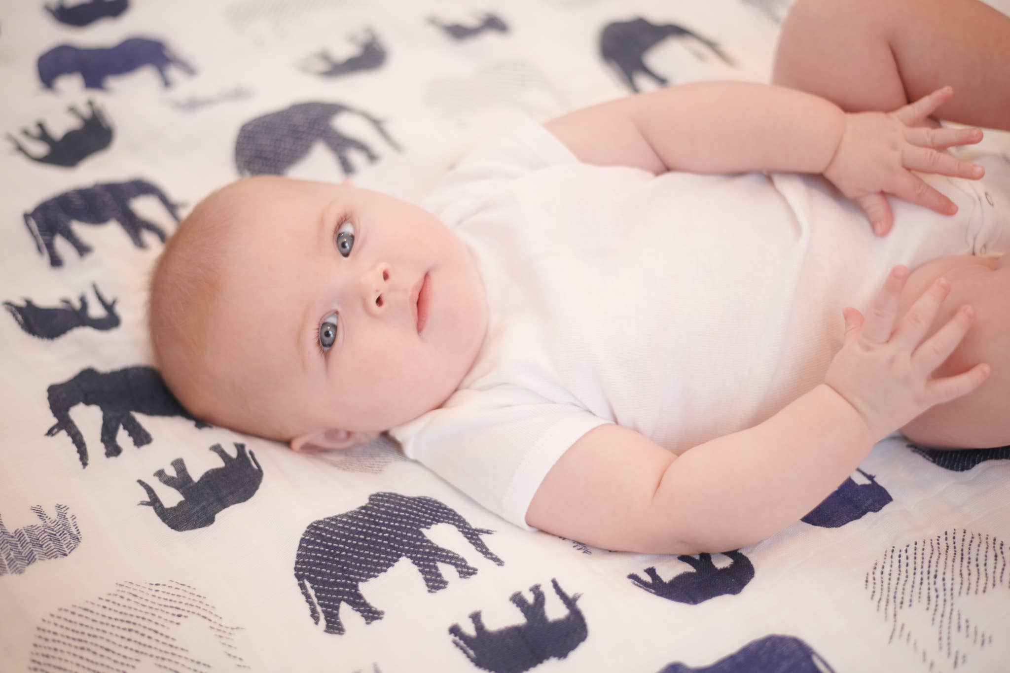 Newcastle Classics - Wholesale Bedding Blanket - Kids & Baby - Blue Elephant and Spotted Wave Newcastle Blanket8