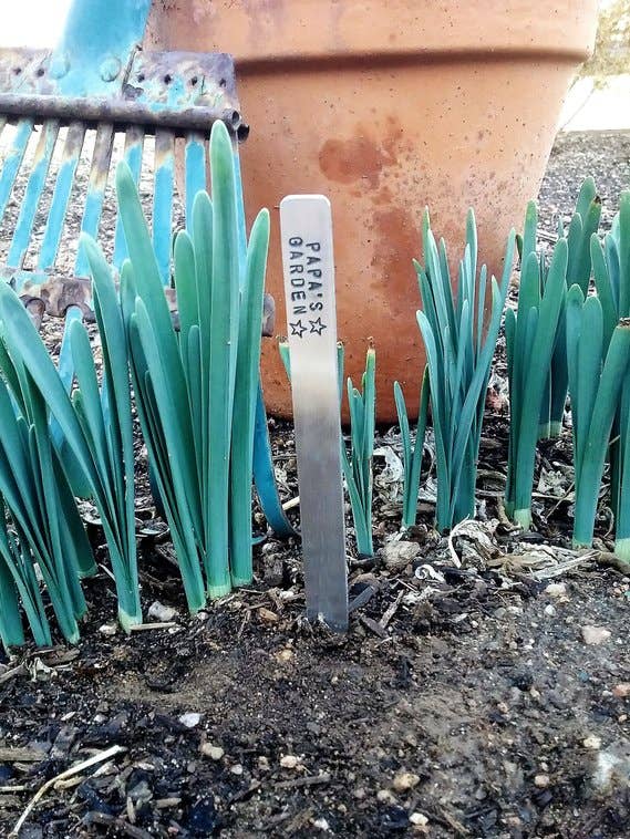 Bedstefars Have Tags - Plantemarkører for engroshandel hos C & T Custom Lures