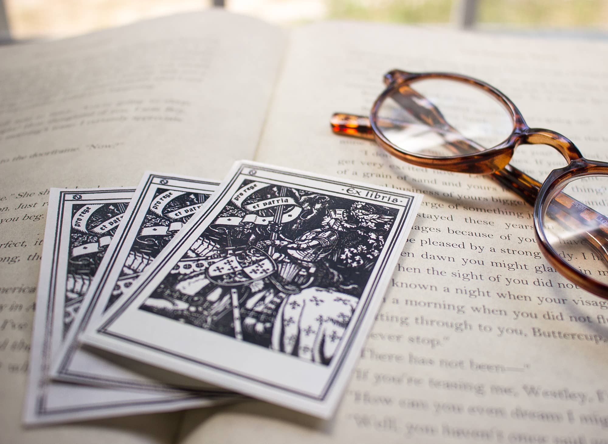 Sunshine and Ravioli - Wholesale Book Plate - Knight Bookplate Stickers2