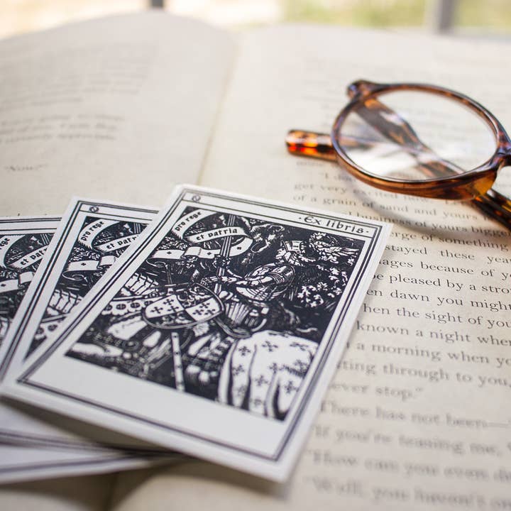 Sunshine and Ravioli - Wholesale Book Plate - Knight Bookplate Stickers2