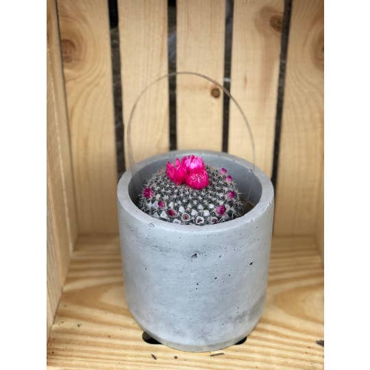 Large Pot for wholesale by Dieheart