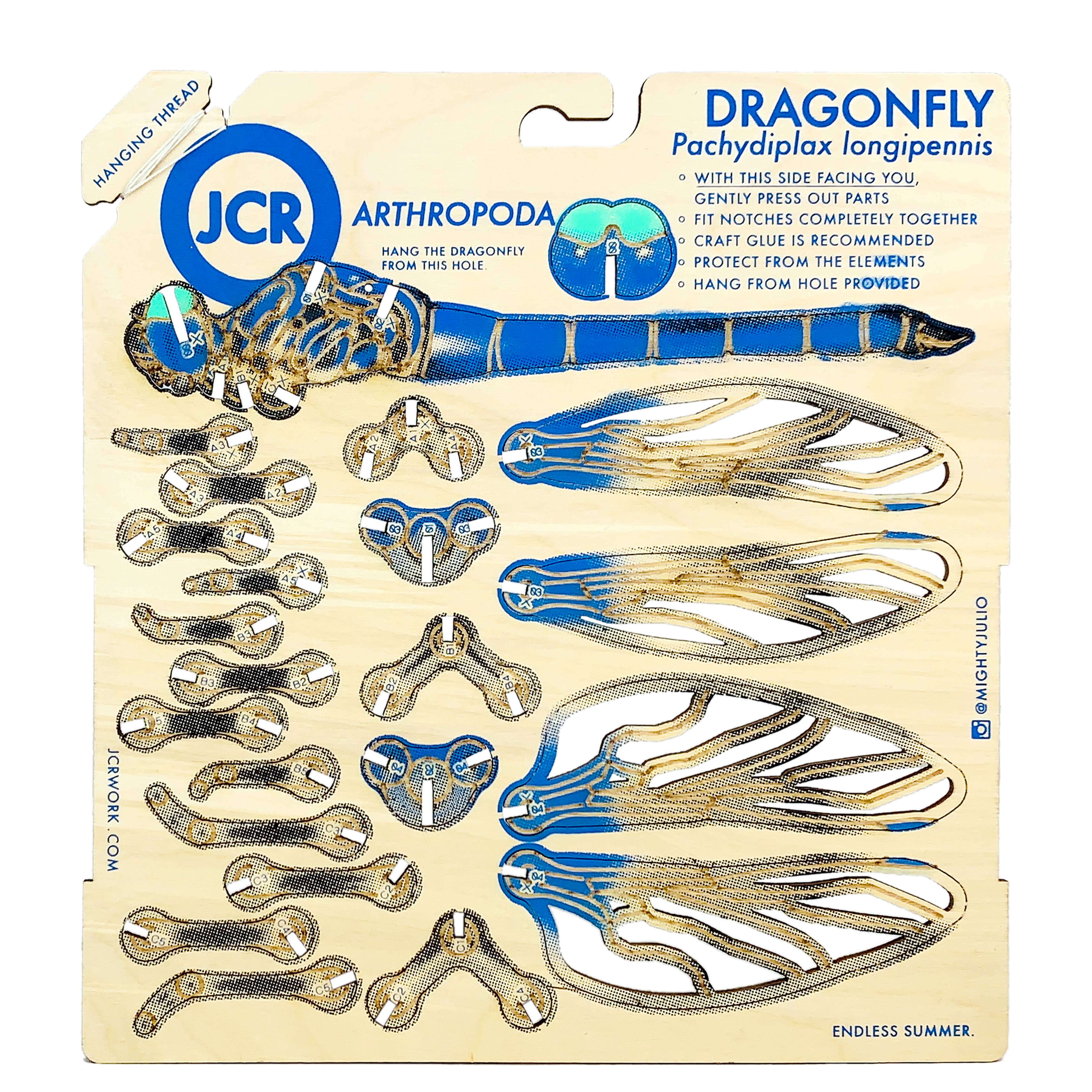JCR WORK - Wholesale DIY Craft Kit - ARTHROPODA : DRAGONFLY2