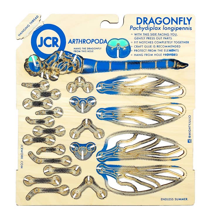 JCR WORK - Wholesale DIY Craft Kit - ARTHROPODA : DRAGONFLY2