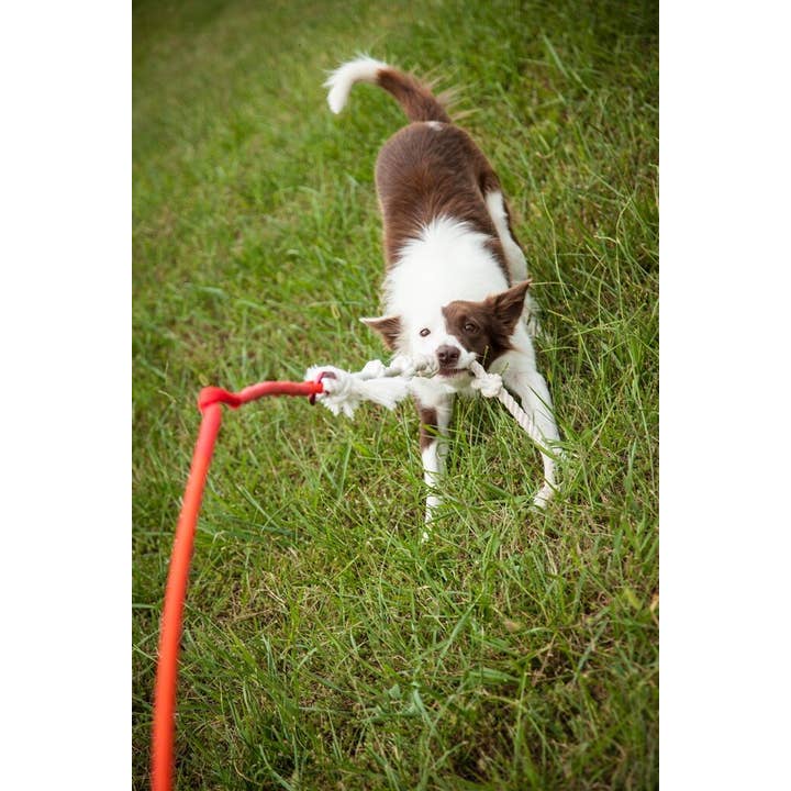 Tether Tug - Wholesale Pet Rope Toy - Dog - Big Outdoor Tether Tug