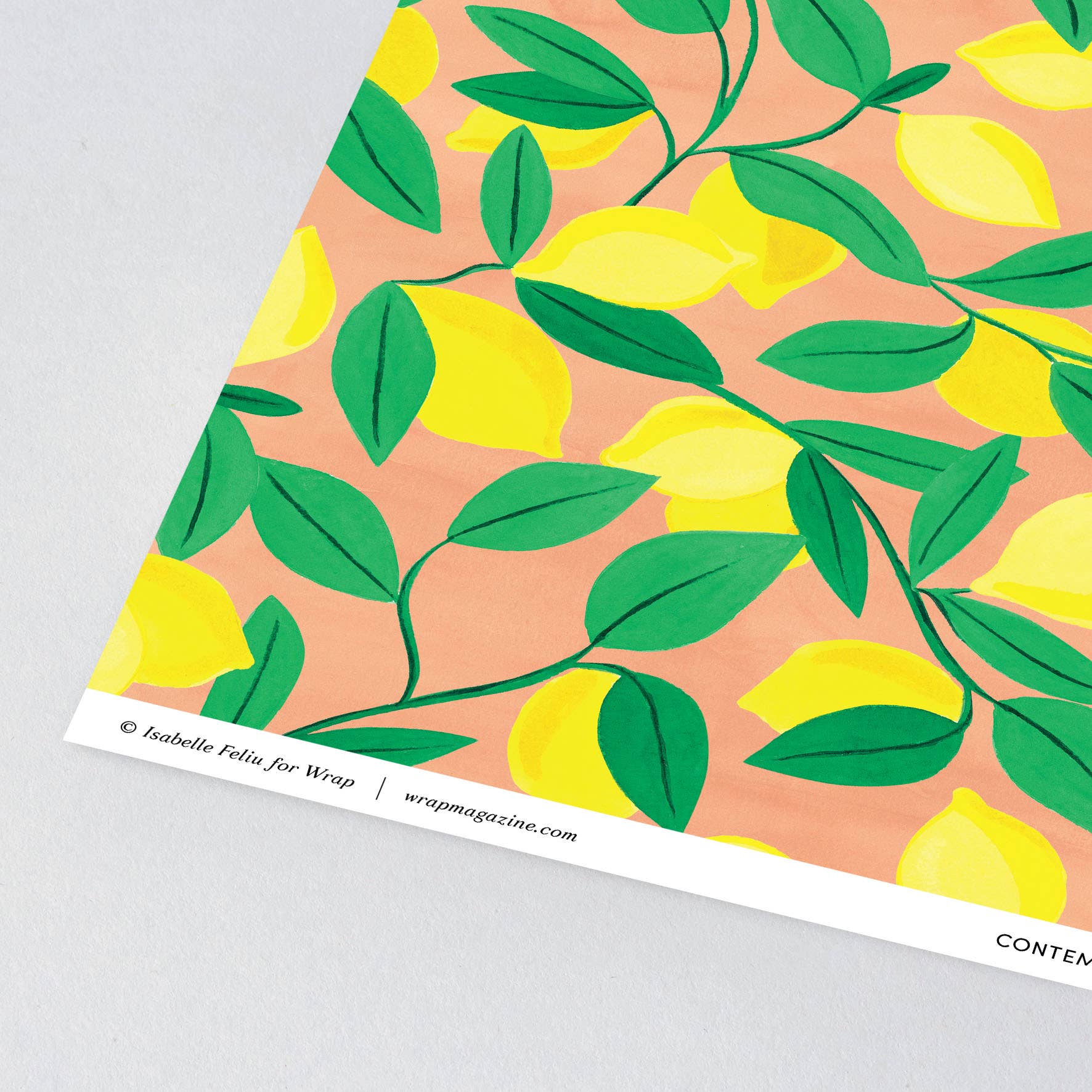 Wrap (US duties paid) - Wholesale Flat Wrap - Lemons Gift Wrap3