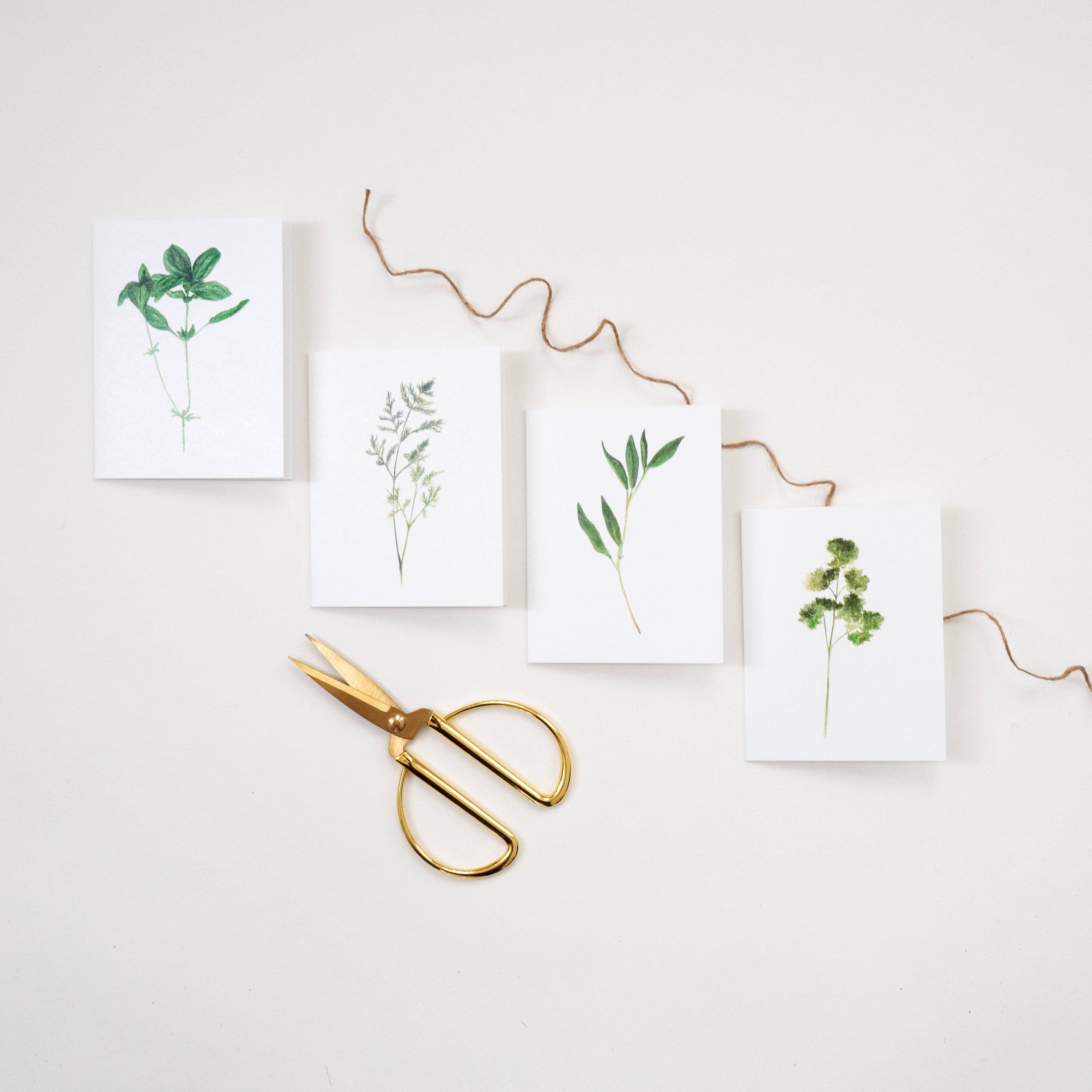 Rachel Alvarez Art - Wholesale Stationery/Notecard Set - Herb Greeting Cards2