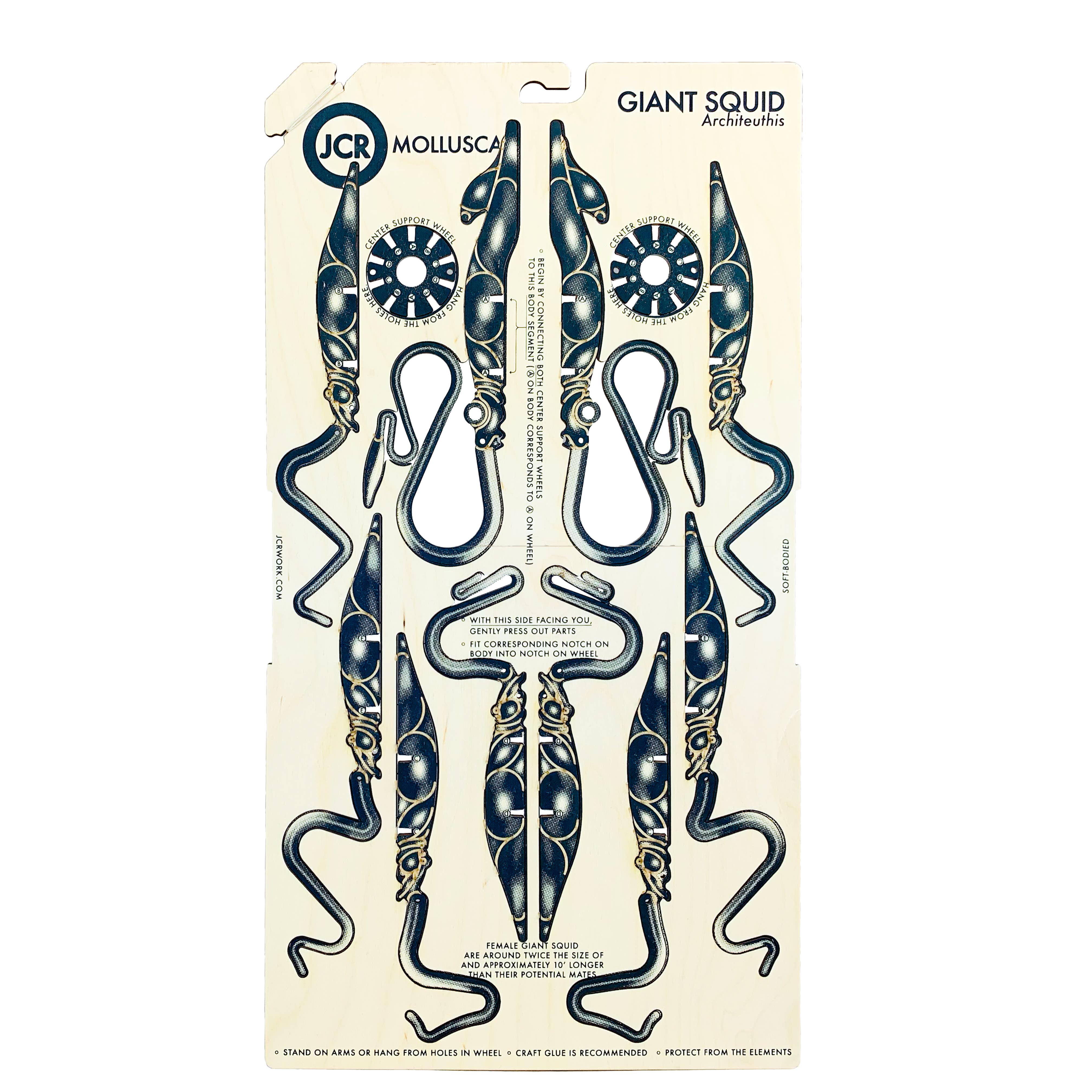 JCR WORK - Vendita all'ingrosso Kit per lavoretti fai da te - MOLLUSCA: CALAMARO GIGANTE1