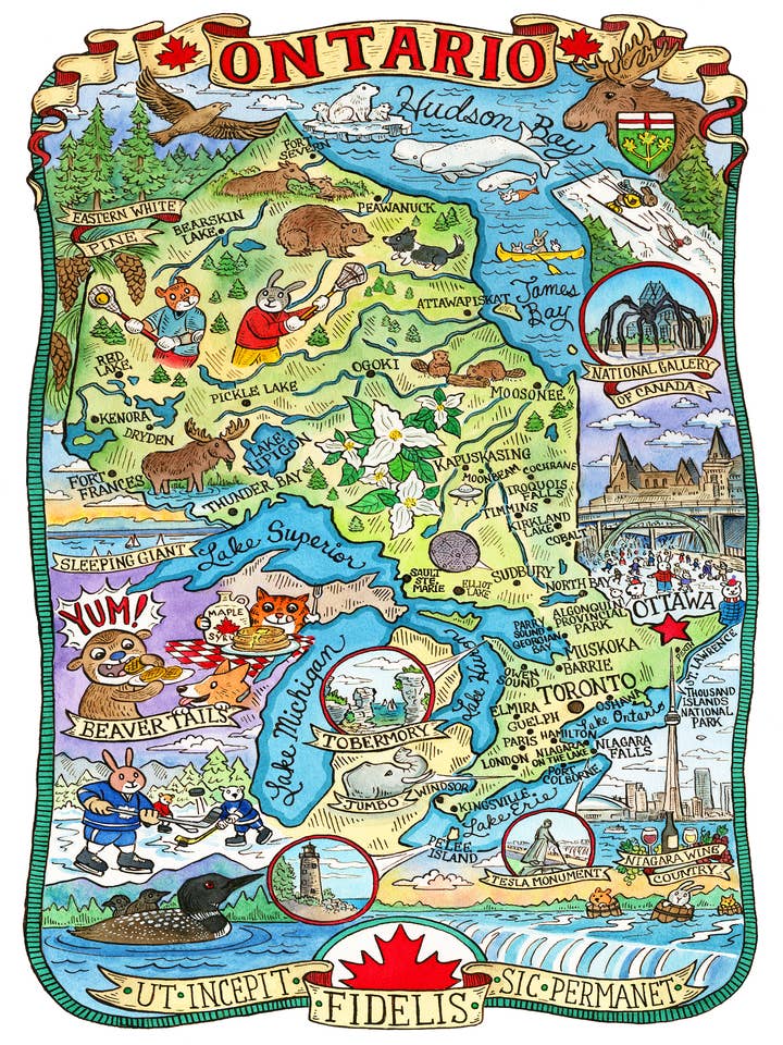 Impression cartographique de l'Ontario Canada 16 po x 20 po pour la vente par SepiaLepus Illustration