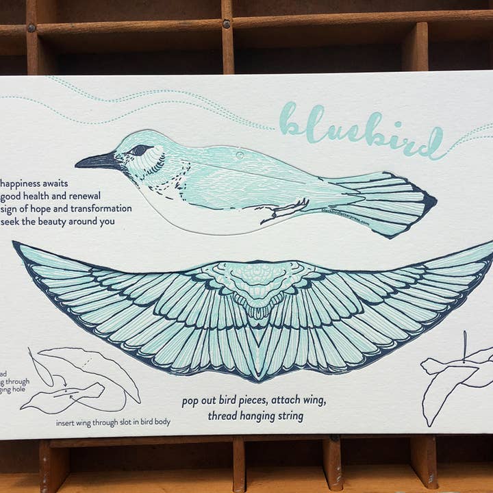 Blackbird Letterpress - Wholesale Everyday Greeting Card - bluebird pop-out bird card1