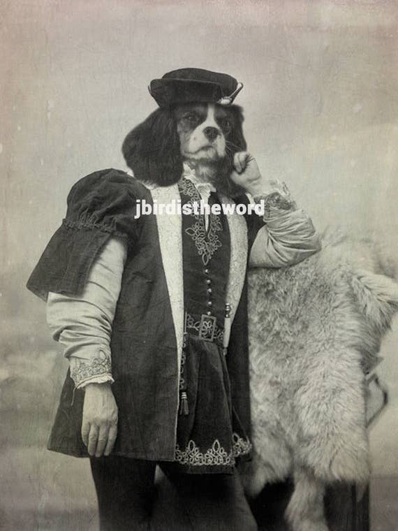 King Charles Cavalier Print for wholesale by The Wild Oddisorium