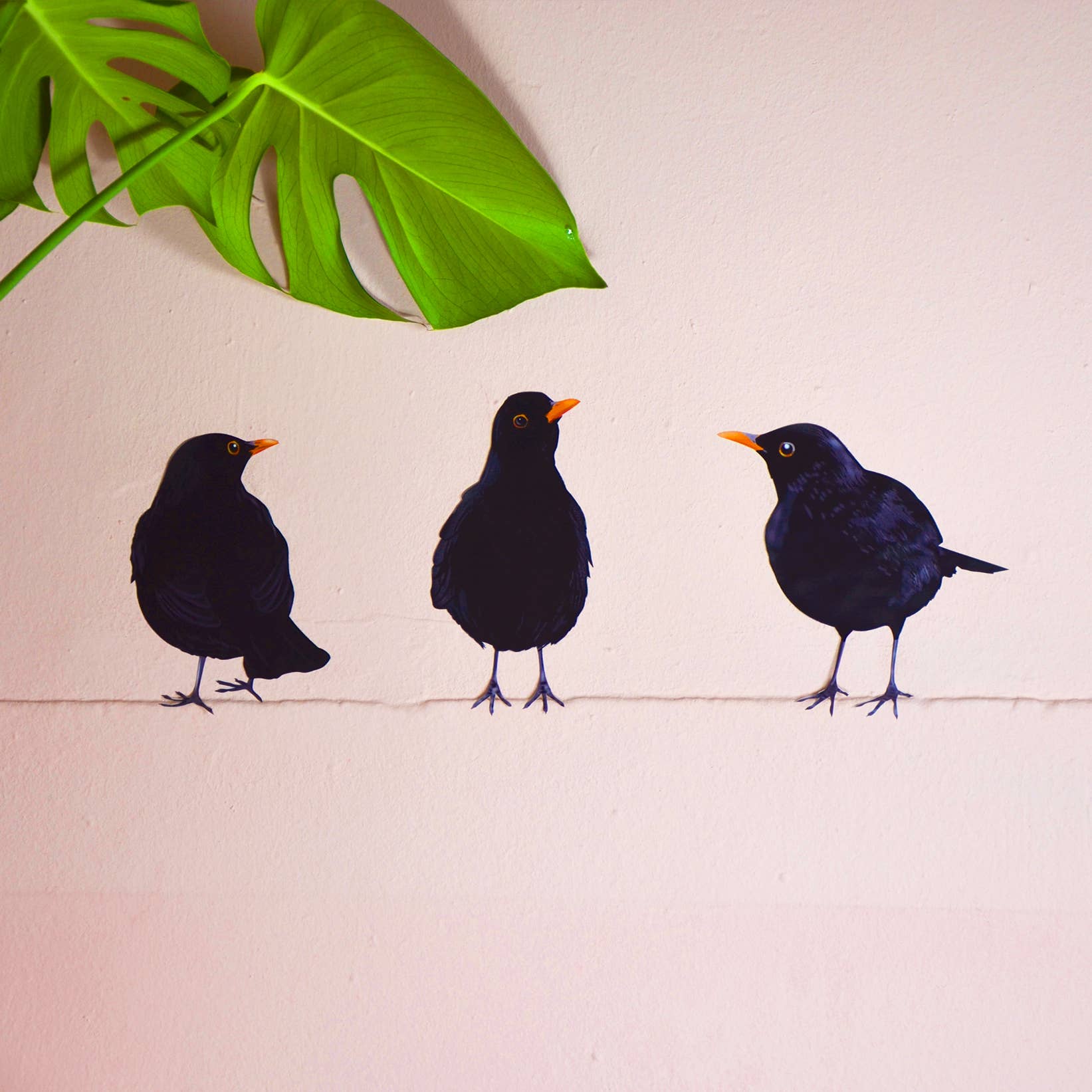 MYRTE - Wholesale Wall Decal/Stickers - Blackbird Illustration Wall Decal6