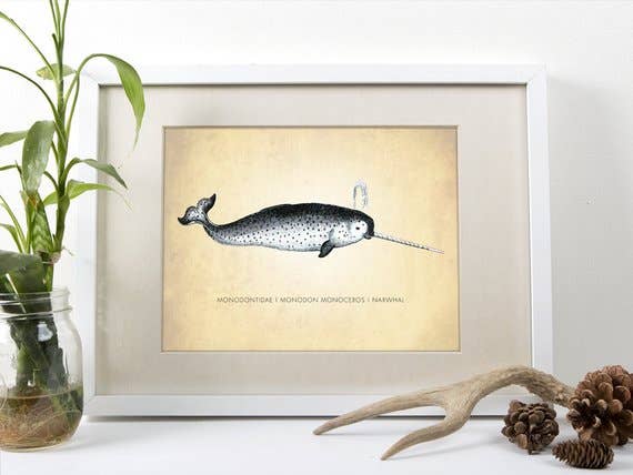 The National Anthem - Wholesale Art Print - 5” x 7” Narwhal Art Print1