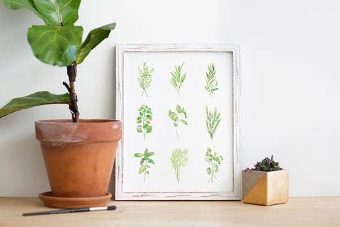 Lilac Paperie - Vente Affiche d'art - Imprimé aquarelle mini herbes 11 po x 14 po1