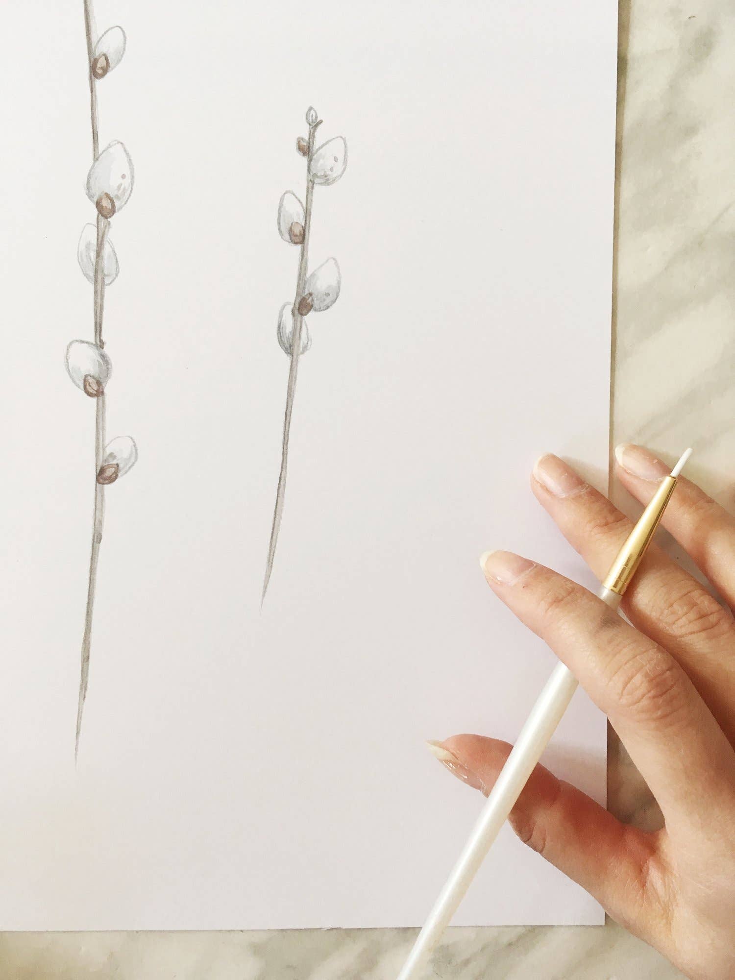 Katelyn Morse Art - Wholesale Art Print - Pussy Willows Art Print 11X144