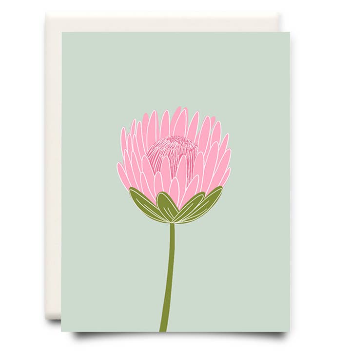 Protea | Carte de vœux florale pour la vente par Inkwell Cards