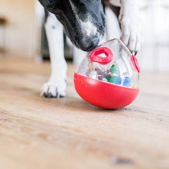 P.L.A.Y. Pet Lifestyle and You - Wholesale Pet Toy - Dog - Wobble Ball 2.0_Red3
