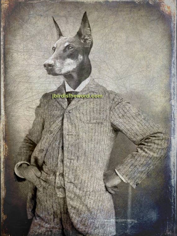 5" x 7" Doberman Pincer Print, Dog Lover, Pet Owner Trainer for wholesale by The Wild Oddisorium