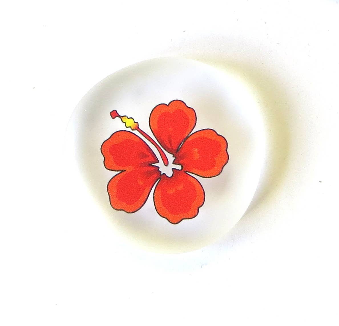 Lifeforce Glass, Inc. - Wholesale Keepsake Coin/Token - Mermaid's Message Imprinted Picture Assortment, 100 pcs3