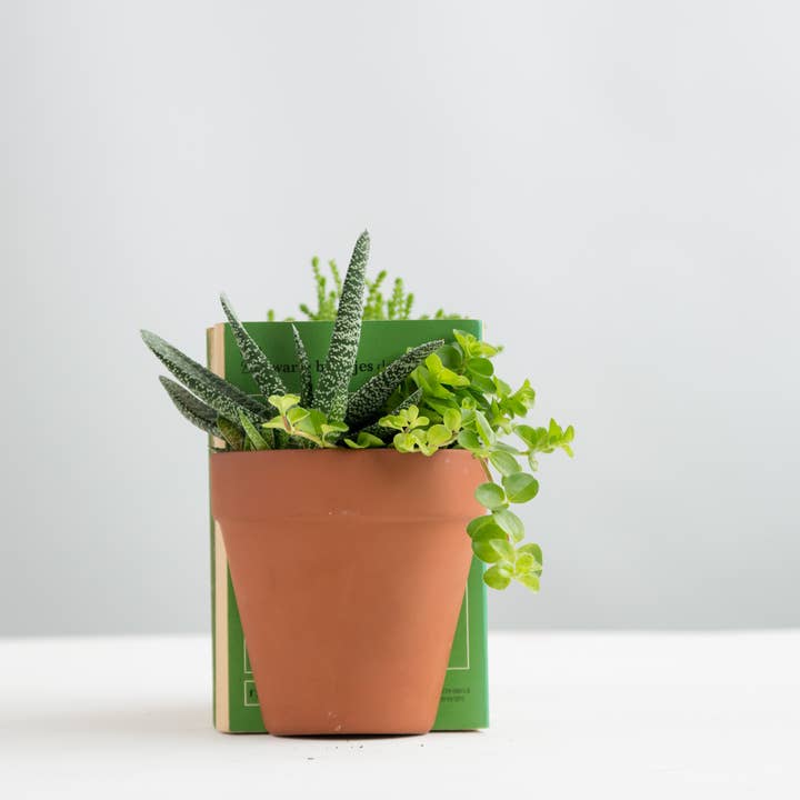 SUCK UK Ltd - USA - Wholesale Bookend - Plant Pot Bookends5