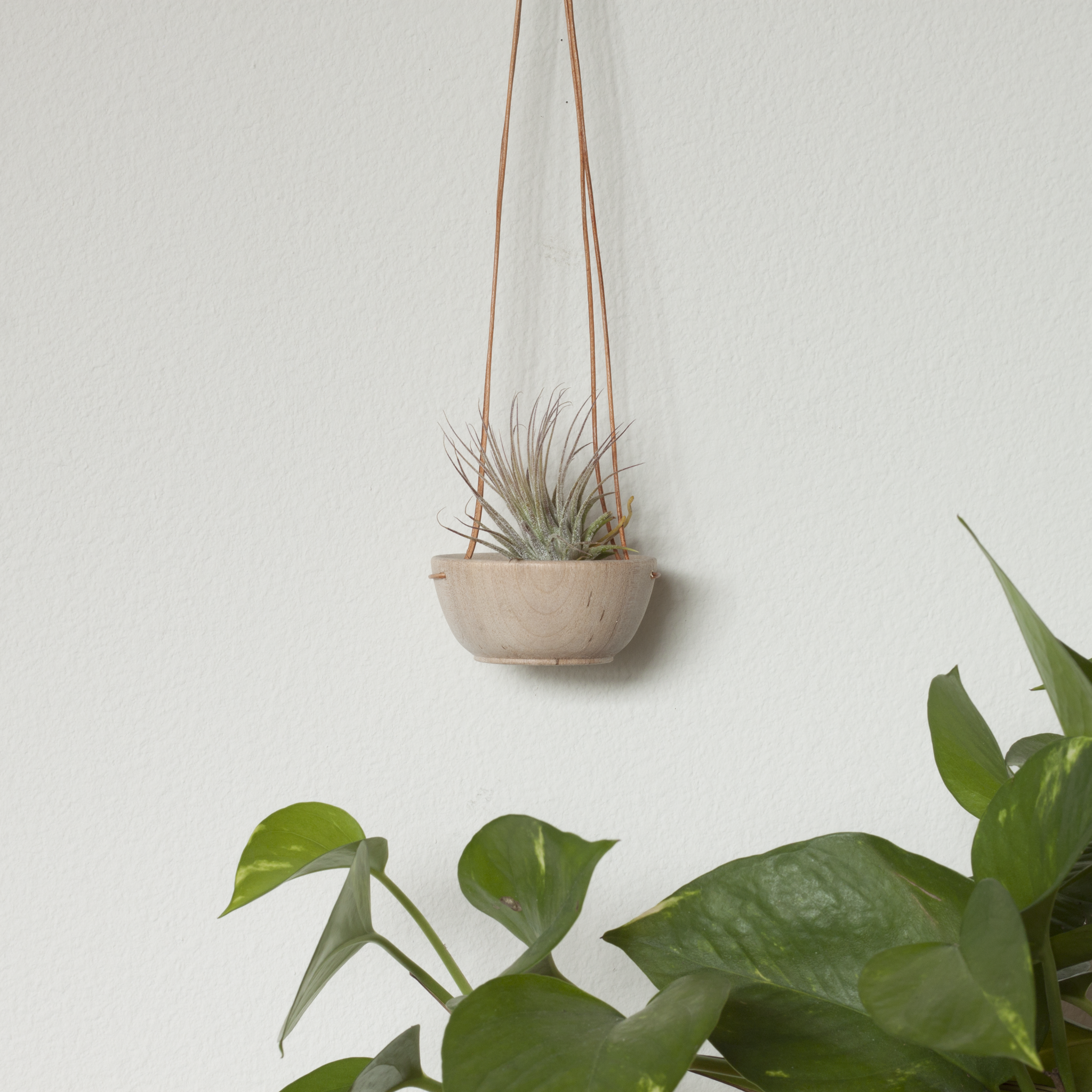 Savvie Studio - Wholesale Hanging Planter - Wood + Leather Air Plant Hanger1