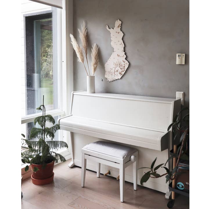 Papurino - Wholesale Map - Wooden Map of Finland with cities3