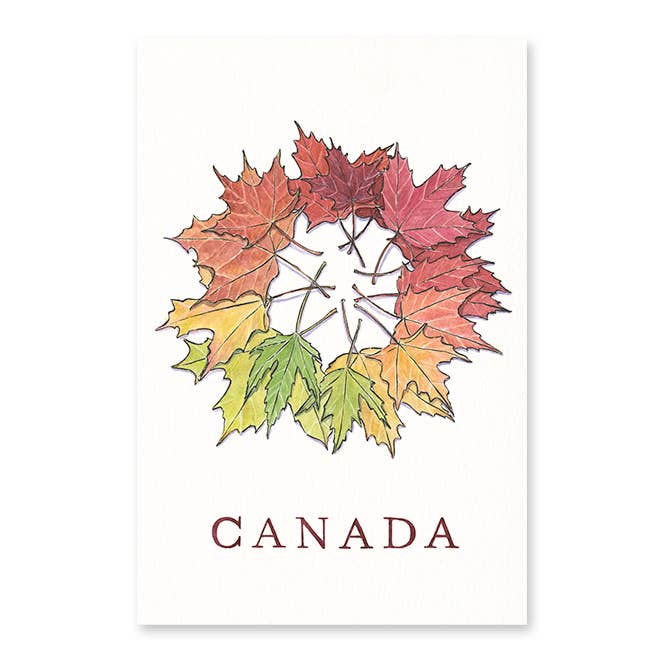 Cartão postal de folhas de bordo por atacado de Gotamago