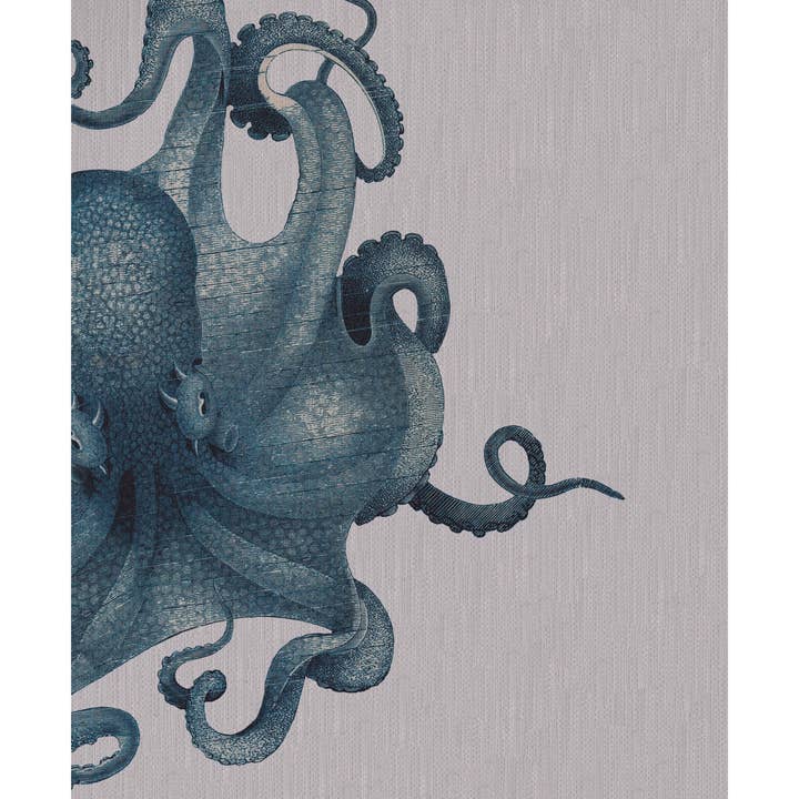 Pulpo Study - Arte decorativo para pared, diseño de tela, color azul para venta al por mayor de SPLASHWORKS