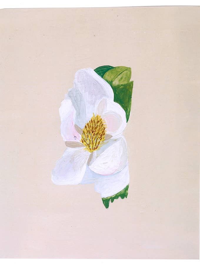 Hand Painted Mississippi Magnolia 8 x 10 Print for wholesale by Thimblepress