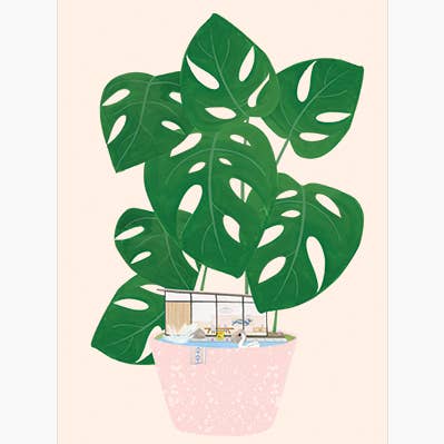 19,5 „x 28" moderne kamerplant voor wholesale door Dear Hancock