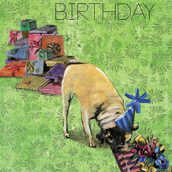 Pergamo Paper Goods – Großhandel Geburtstagskarten – Geburtstagskarten für Hunde3