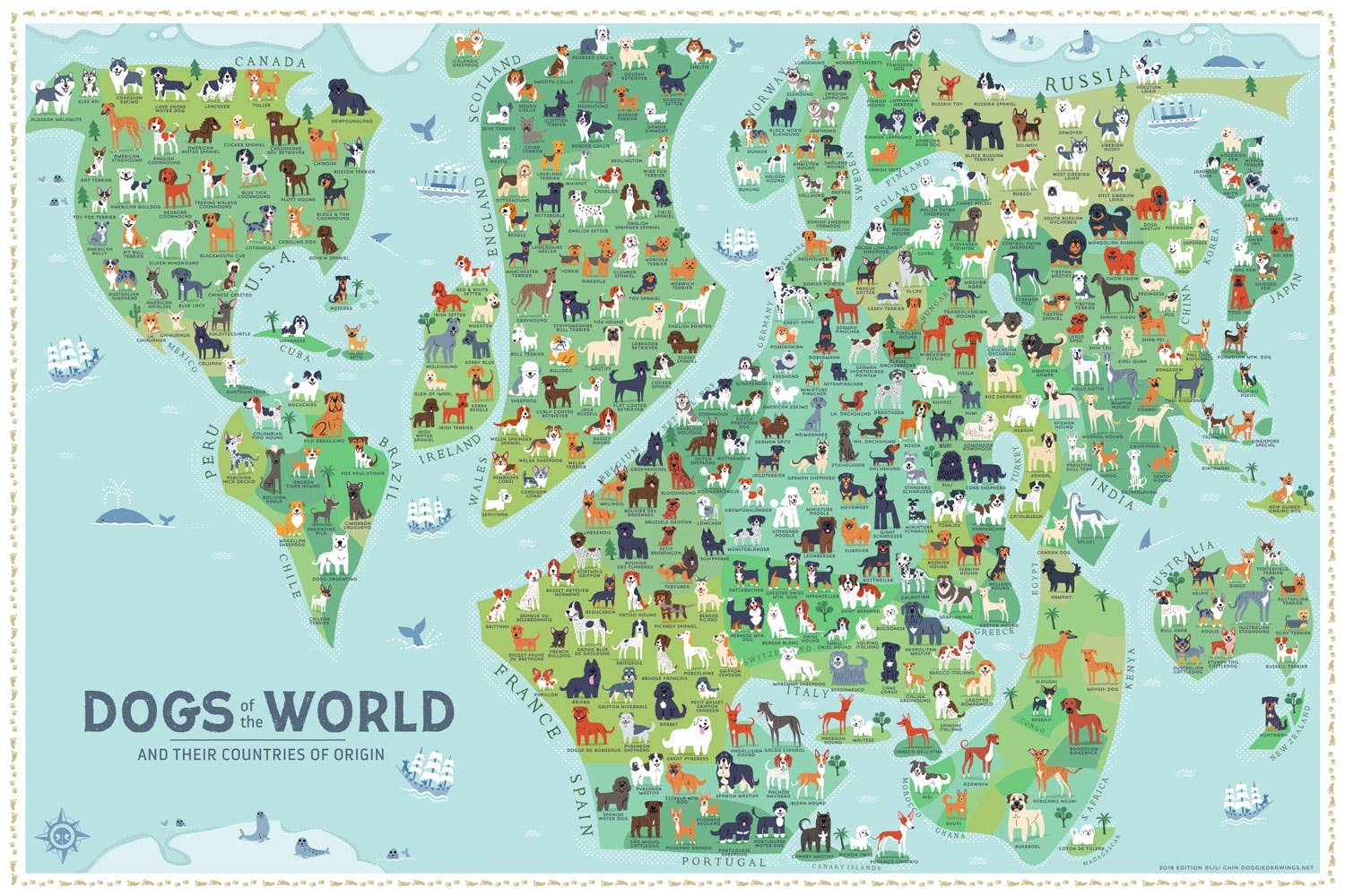 Lili Chin Art - Wholesale Poster - 36'' x 24'' Dogs of the World Map Poster4