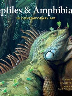 Répteis e anfíbios na arte contemporânea por atacado de Schiffer Publishing