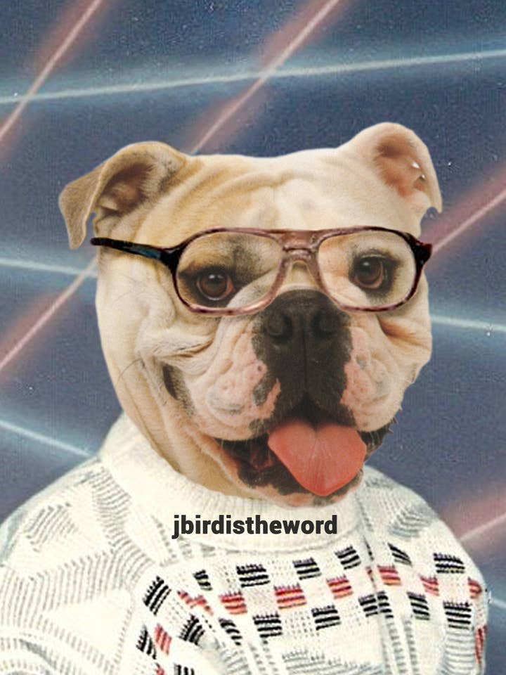 Bulldog 5x7 Print for wholesale by The Wild Oddisorium