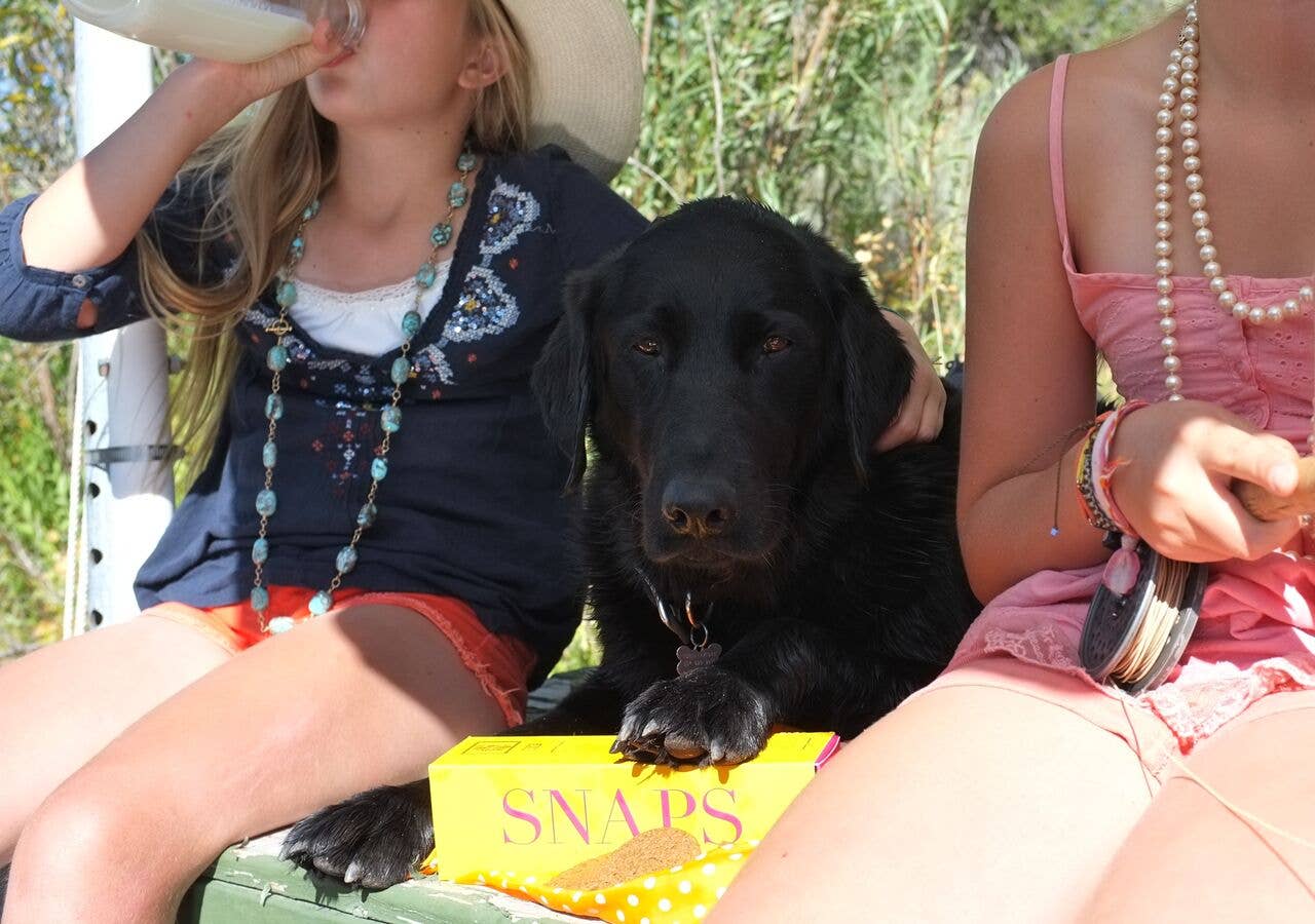 Bunches & Bunches Ltd. - Wholesale Cookie - SNAPS - GINGER COOKIES7