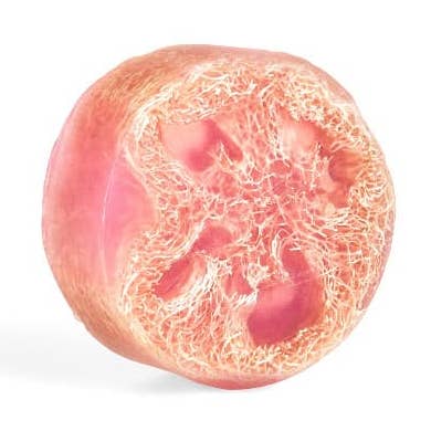 Heartland Fragrance - Wholesale Loofah - Pink Grapefruit Exfoliating Loofa Soap0