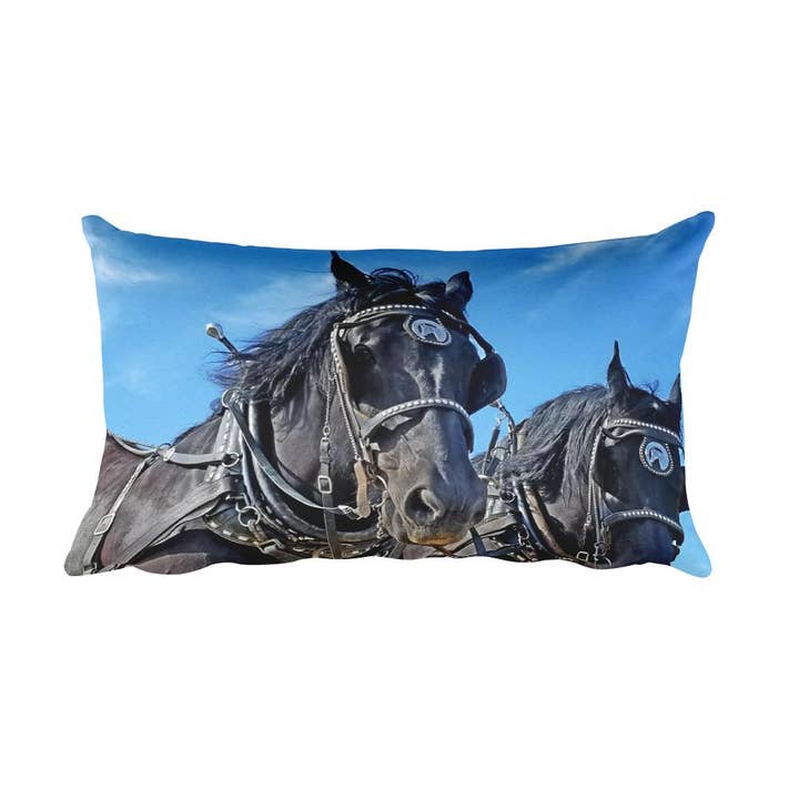 Ceremonisk rektangulär kudde för wholesale av Amanda Smith Western Art, LLC