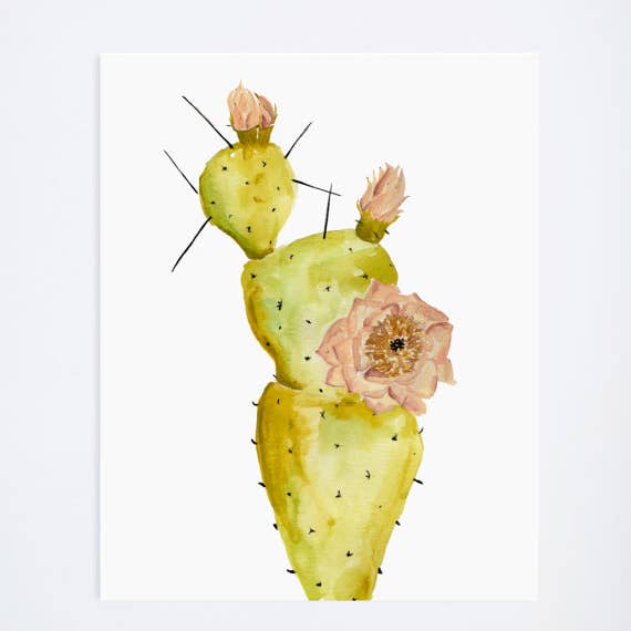Prickly Pear Cactus 8X10 Art Print for wholesale by Shannon Kirsten Illustration