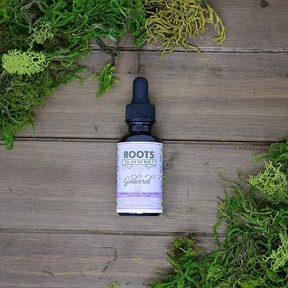 Roots To Remedies - Wholesale Tincture - 2 oz Goldenrod Herbal Tincture1