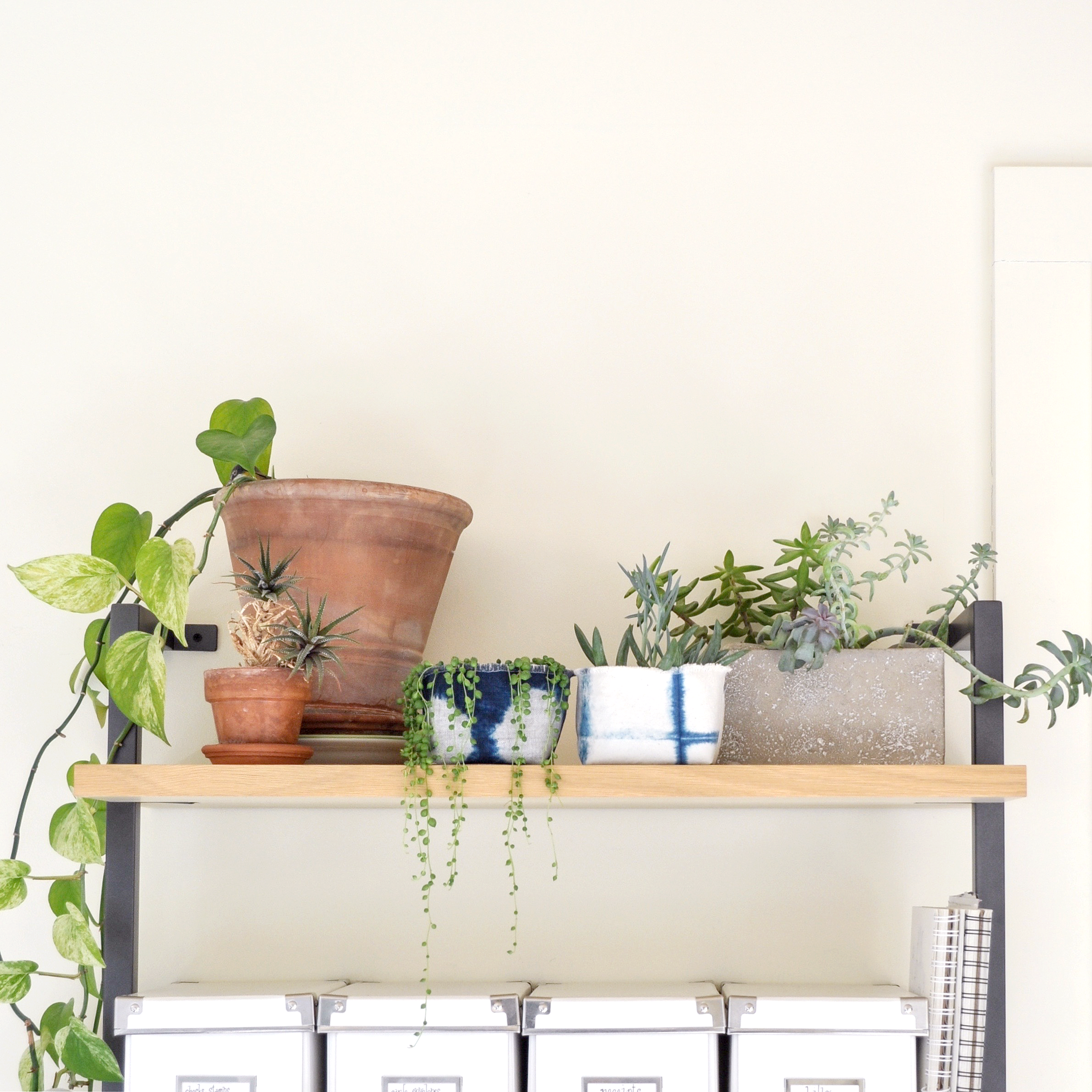 Gray Green Goods - Wholesale Plant pot - Shibori Indigo Canvas Planter—2.5"1