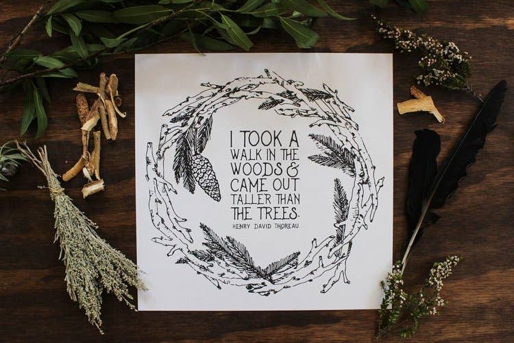 Maija Rebecca Hand Drawn - Wholesale Art Print - 12'' x 12'' A Walk in the Woods Art Print1