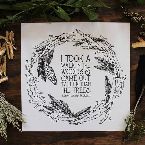 Maija Rebecca Hand Drawn – wholesale Art print – 12'' x 12'' A Walk in the Woods Art Print1