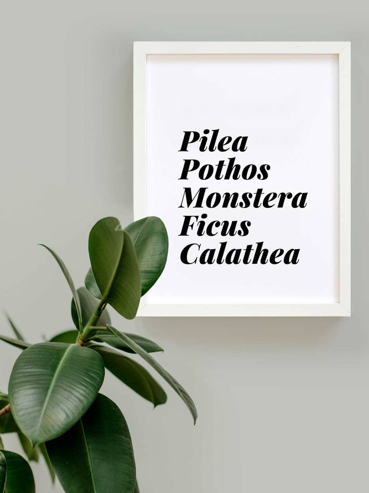 Plant Lover List for wholesale by Swell Made Co.