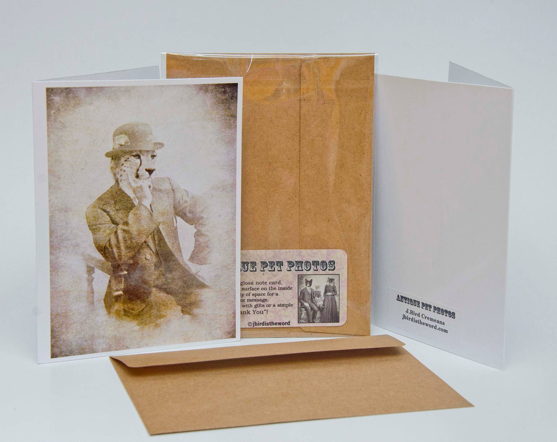 The Wild Oddisorium - Wholesale Baby Card - Baby Kitten Note Card Baby Shower New Pet Kitty Cat1