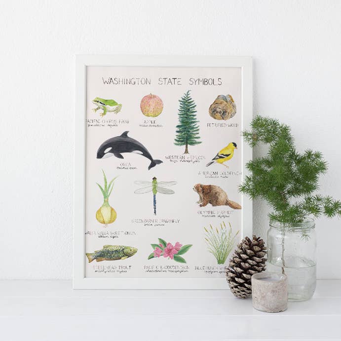 Yardia - Wholesale Art Print - Washington State Symbols - 11" x 14" Watercolor Art Print1
