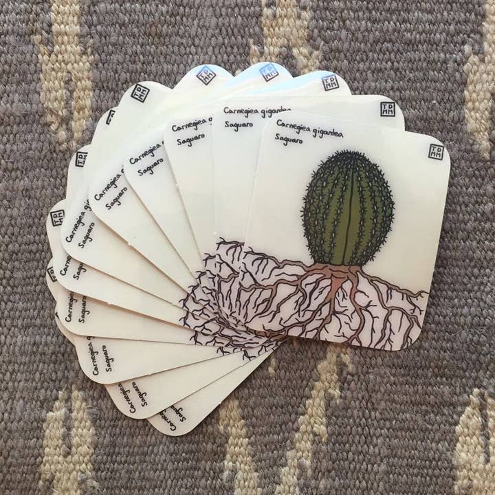 Baby Saguaro Klistermärke för wholesale av Sonoran Witch Boy